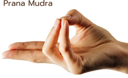 The prana mudra performed with the hands have results with 10-minute practices
blog about Yoga, Tantra, Kashmir Shaivism, Advaita Vedanta and Hindu spirituality