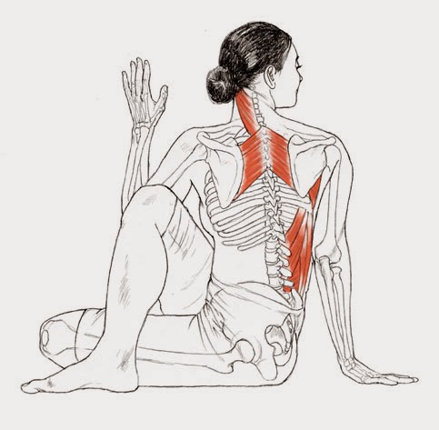 Matsyendrasana is a seated spinal twist