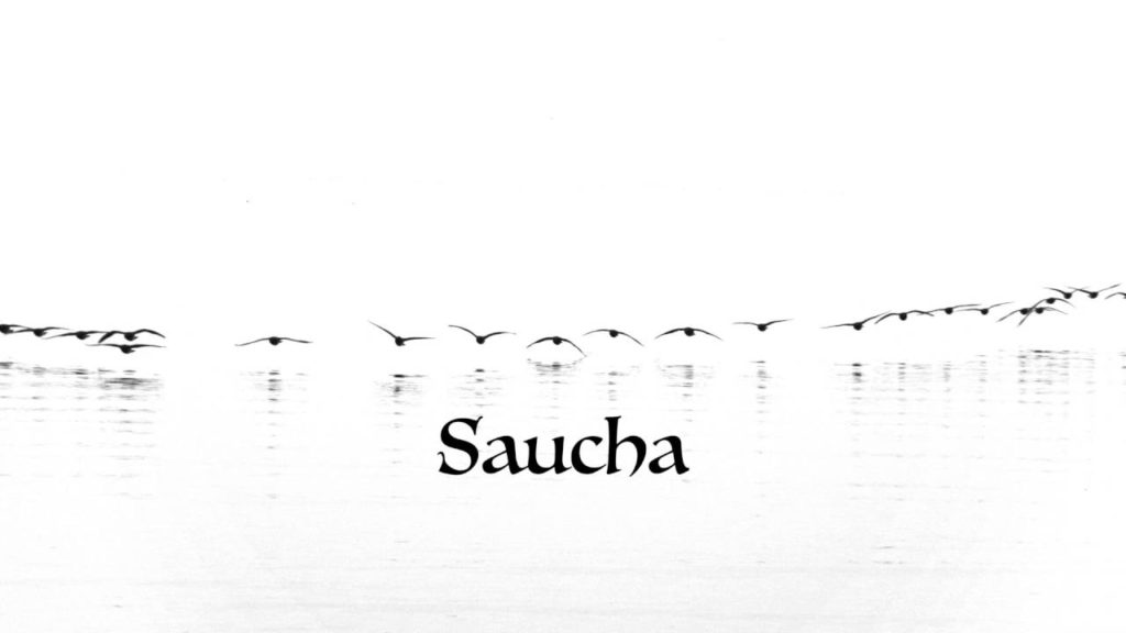 Elimination of toxins in Saucha