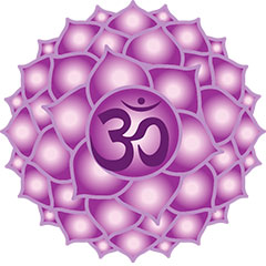 The seventh Chakra Sahasrara is the access to our superior consciousness blog about Yoga, Tantra, Kashmir Shaivism, Advaita Vedanta and Hindu spirituality