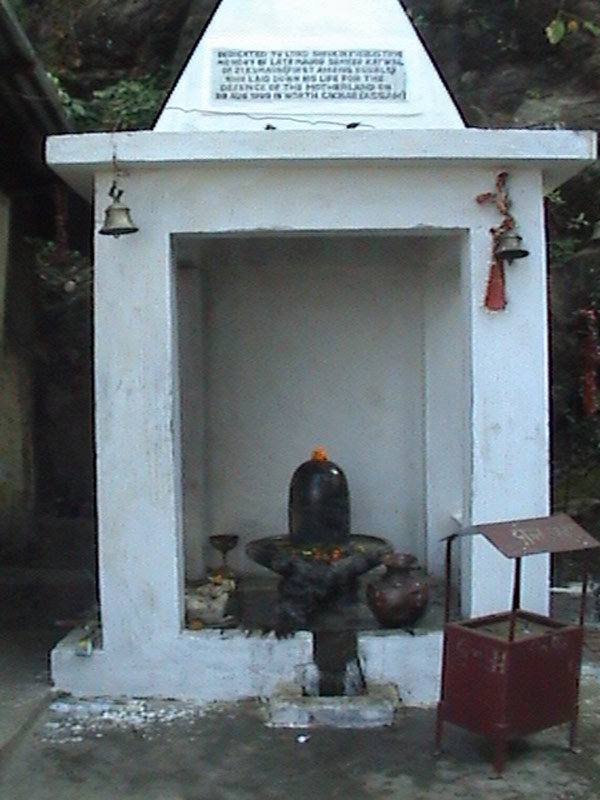 The Shiva Lingam in this photo is located in Parashurameshvar, India. 